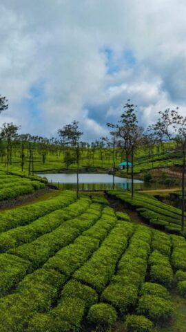 WhatsApp Image 2026-03-03 at 8.28.26 PM