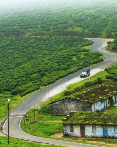 WhatsApp Image 2026-03-03 at 8.28.27 PM