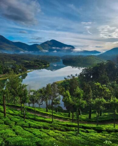 WhatsApp Image 2026-03-03 at 8.28.30 PM