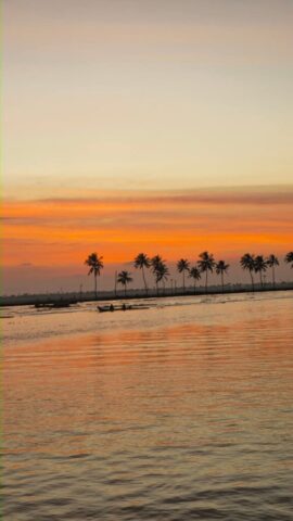 WhatsApp Image 2026-03-03 at 8.28.32 PM