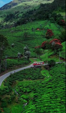 WhatsApp Image 2026-03-03 at 8.28.33 PM (2)