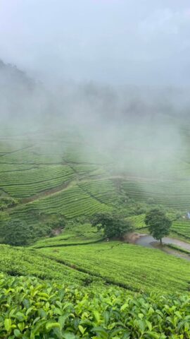 WhatsApp Image 2026-03-03 at 8.28.33 PM