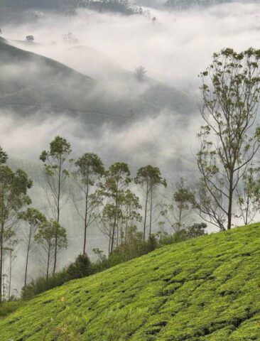 WhatsApp Image 2026-03-03 at 8.28.34 PM (1)