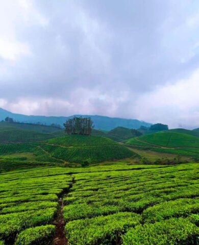 WhatsApp Image 2026-03-03 at 8.28.34 PM (2)