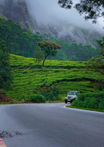 WhatsApp Image 2026-03-03 at 8.28.34 PM