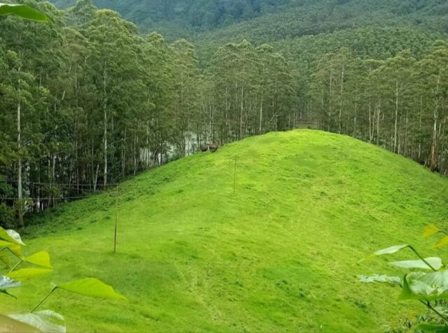 WhatsApp Image 2026-03-03 at 8.28.35 PM