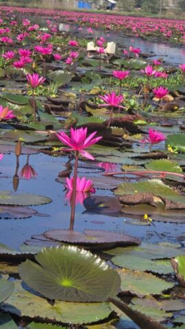 WhatsApp Image 2026-03-03 at 8.28.36 PM