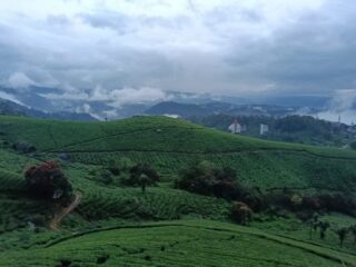 WhatsApp Image 2026-03-03 at 8.28.37 PM (1)