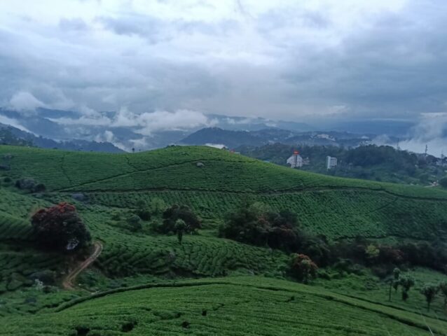 WhatsApp Image 2026-03-03 at 8.28.37 PM (1)