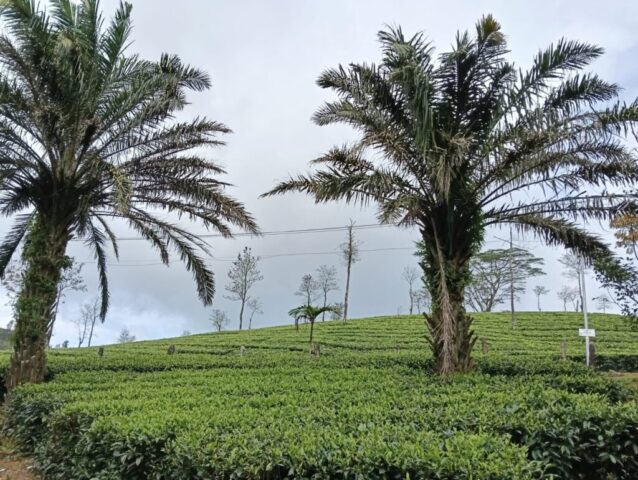 WhatsApp Image 2026-03-03 at 8.28.37 PM (2)