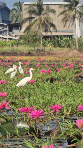 WhatsApp Image 2026-03-03 at 8.28.37 PM